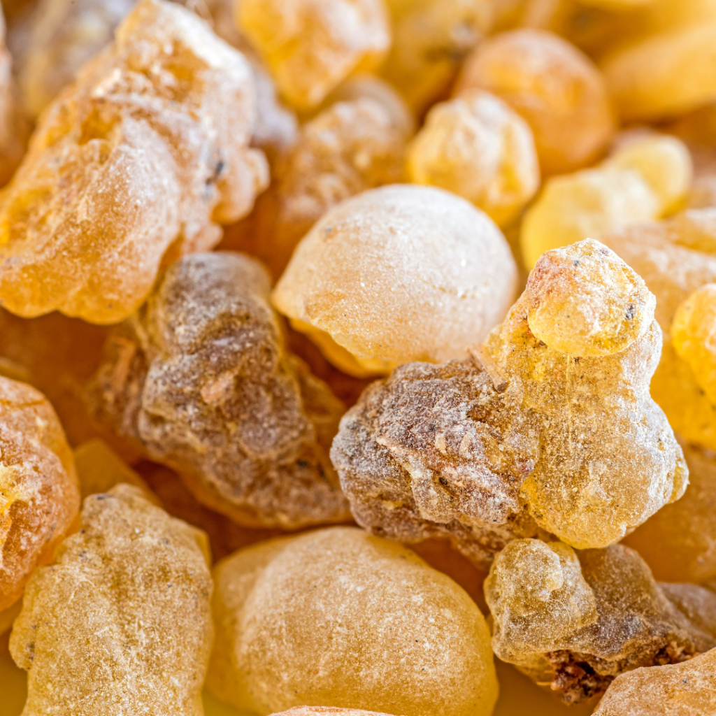 Sauna Scents: The Best Traditional And Unusual Scents For Your Sauna Experience Frankincense