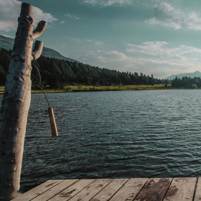 Sauna Cold Plunge