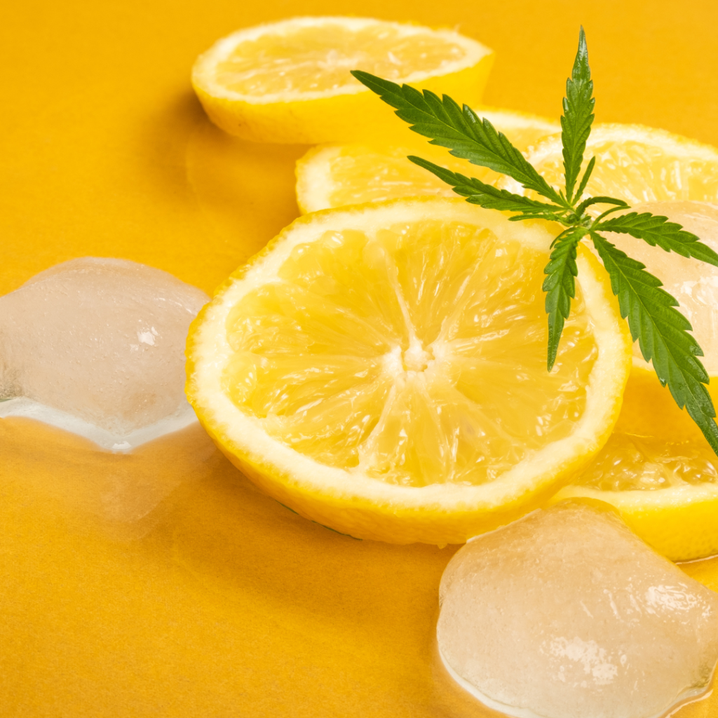 Best Essential Oils for Sauna: Relax and Rejuvenate with Aromatherapy Citrus is great for an uplifting sauna experience