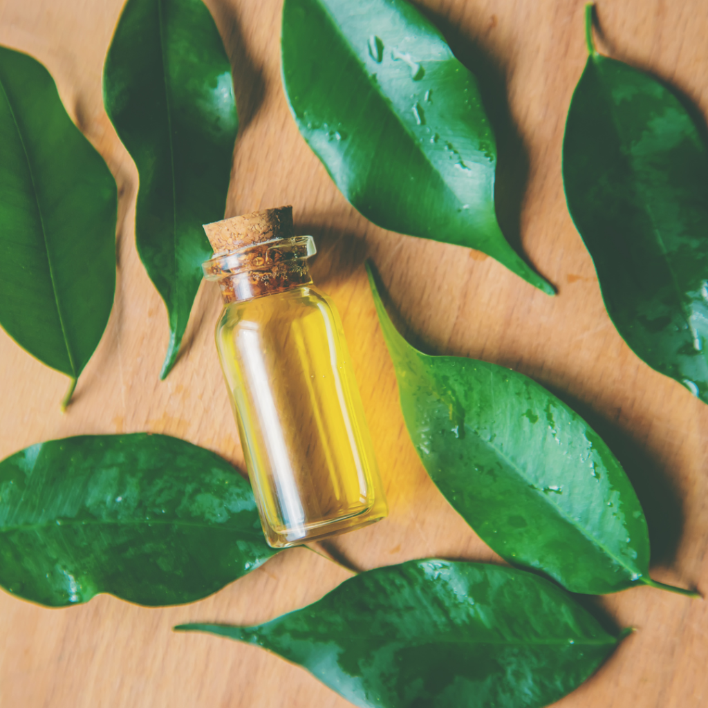 Best Essential Oils for Sauna: Relax and Rejuvenate with Aromatherapy Tea tree oil is a great oil to use in the sauna as it can help clean the air and prevent the spread of germs